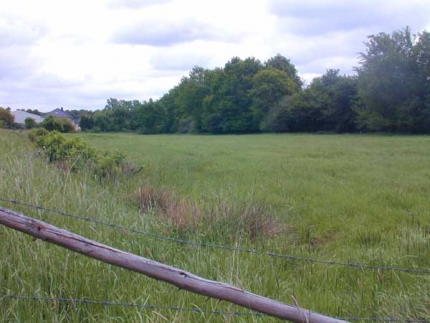 Bild 1 von Lehmkuhlen (ehemalige)